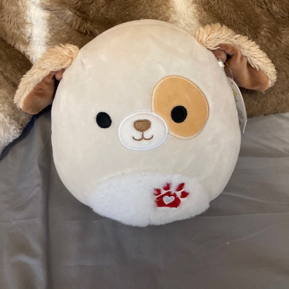 Harrison squishmallow